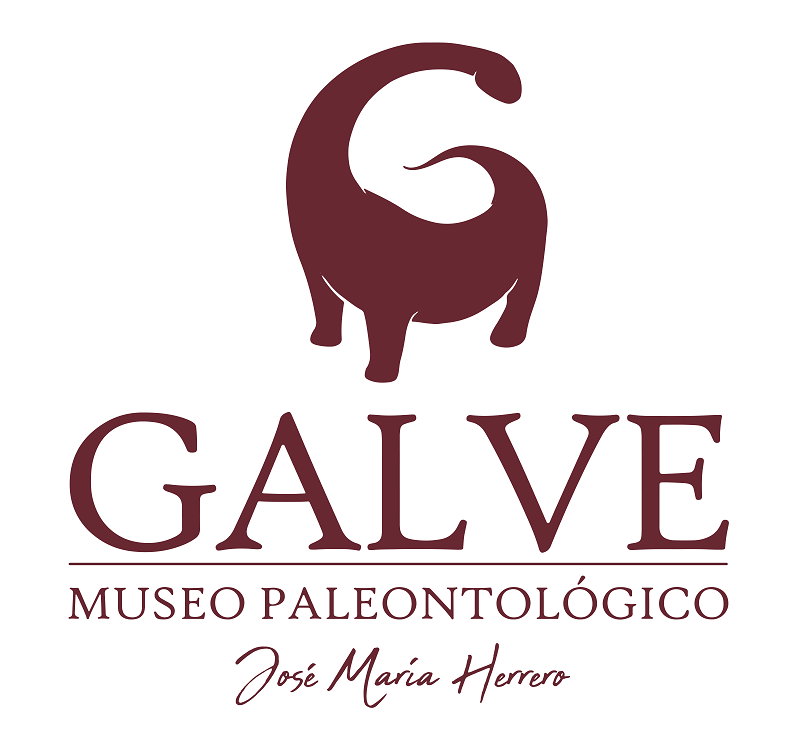 Imagotipo Museo Galve 800px